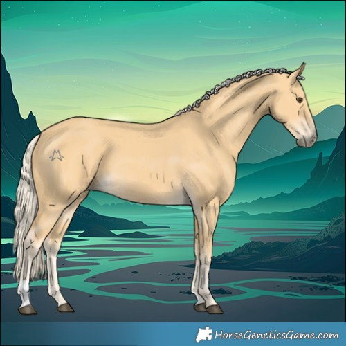Horse Color:Palomino