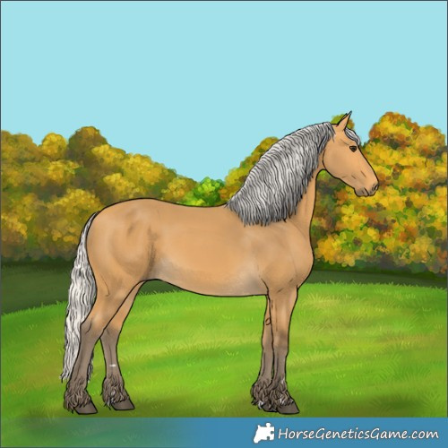 Horse Color:Silver Buckskin 