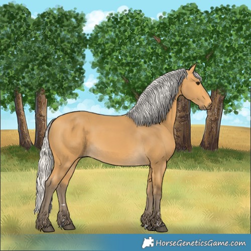 Horse Color:Silver Buckskin 