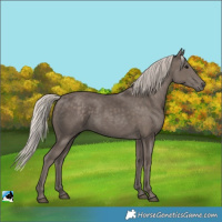 Horse Color:Silver Black 