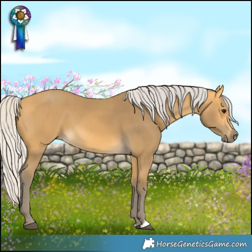 Horse Color:Silver Buckskin 
