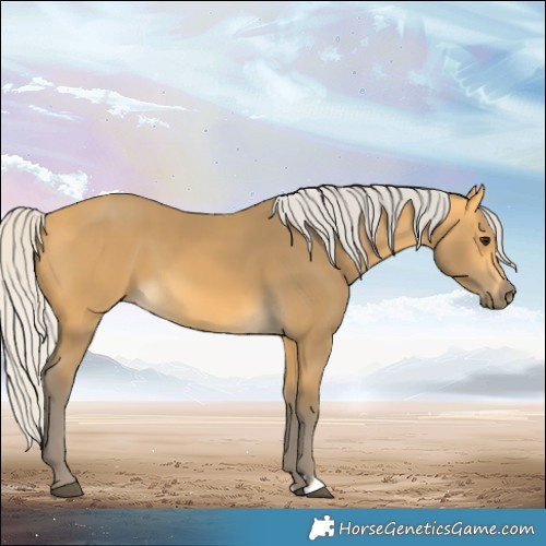 Horse Color:Silver Buckskin 