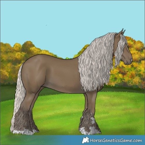 Horse Color:Silver Smoky Black 