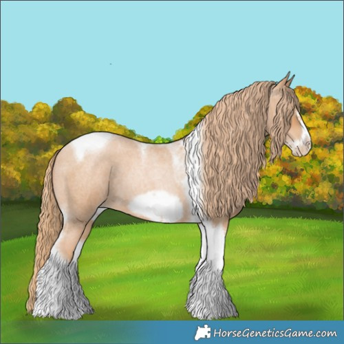 Horse Color:Red Roan Pearl Tobiano Frame