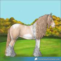 Horse Color:Red Roan Pearl Tobiano Frame