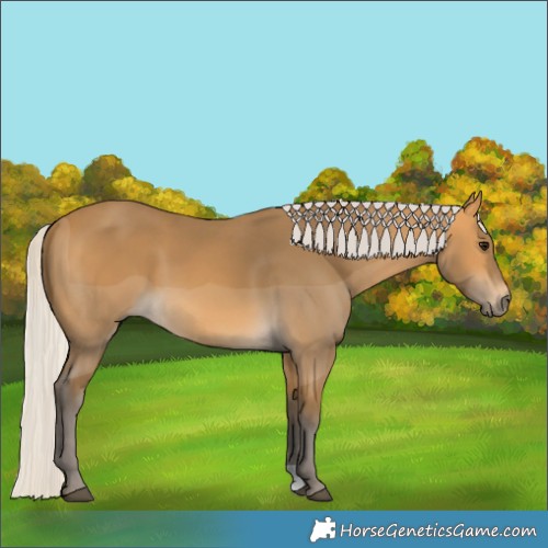 Horse Color:Silver Buckskin