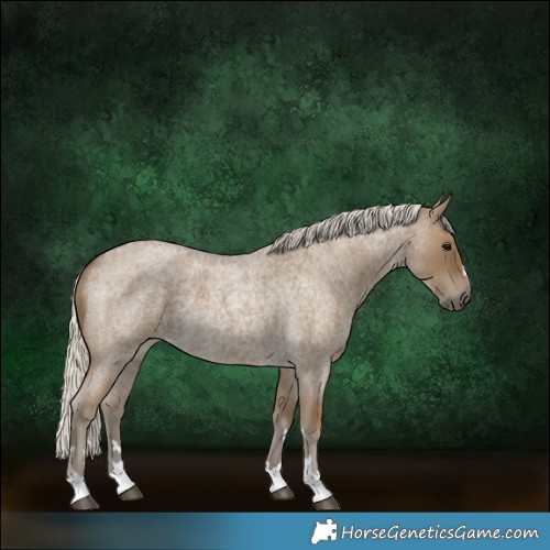 Horse Color:Silver Smoky Blue Roan