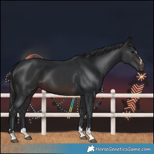 Horse Color:Brown 