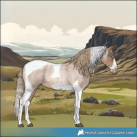 Horse Color:Liver Red Roan Pearl Splash Tobiano Frame