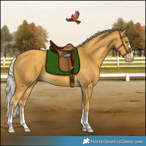Horse Color:Silver Classic Cream Champagne 