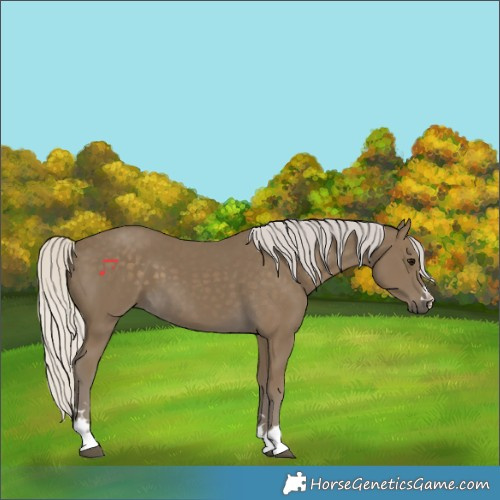 Horse Color:Silver Smoky Black 