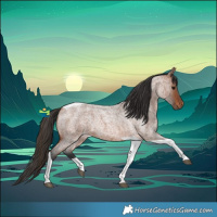 Horse Color:Bay Roan Tobiano Rabicano