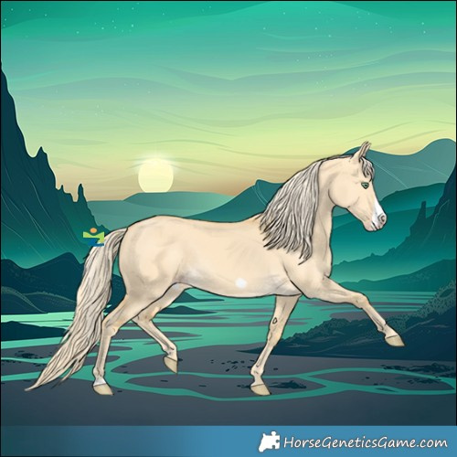 Horse Color:Gold Cream Champagne Dun Frame 