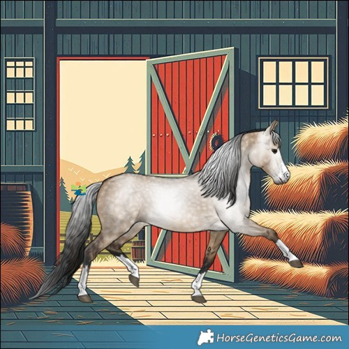 Horse Color:Gray Bay Dun 
