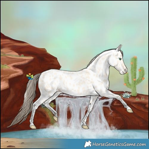 Horse Color:Amber Cream Champagne Near Leopard 