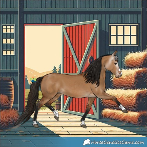 Horse Color:Gray Bay Dun 