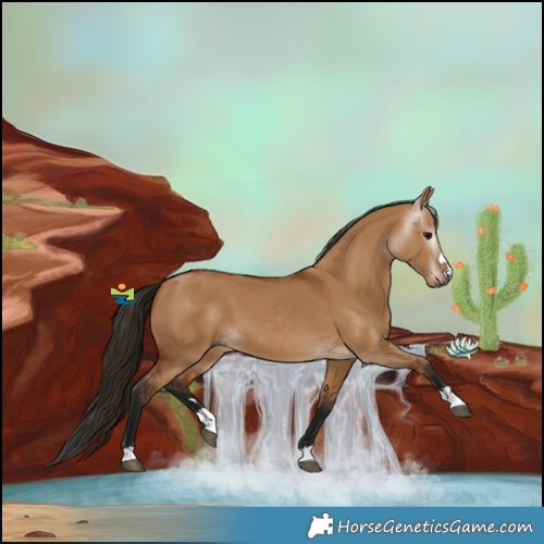 Horse Color:Gray Bay Dun