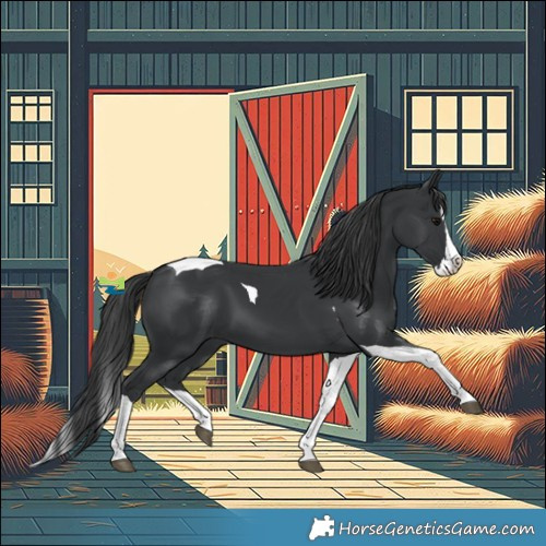Horse Color:Black Splash Tobiano 