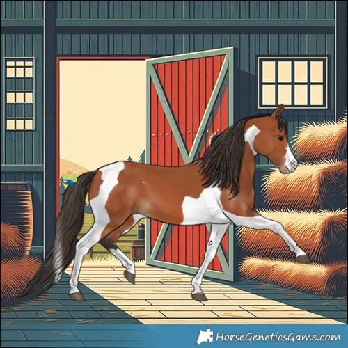 Horse Color:Bay Tobiano 