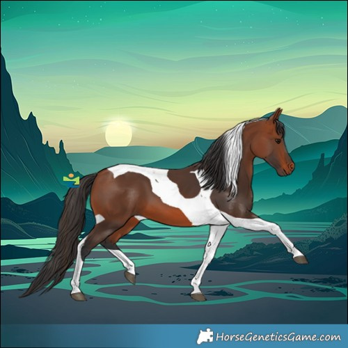 Horse Color:Bay Tobiano 