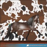 Horse Color:Gray Bay