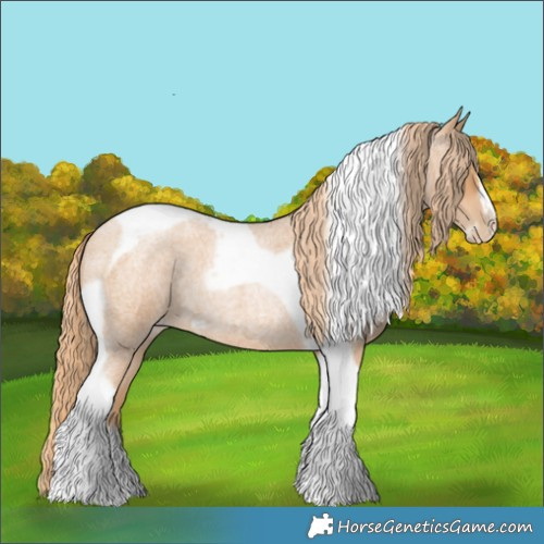 Horse Color:Red Roan Pearl Tobiano Frame