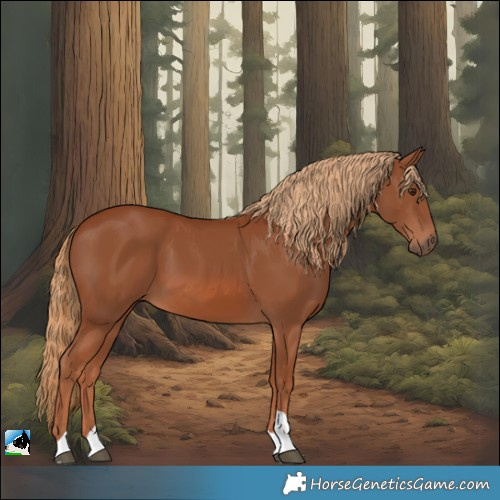 Horse Color:Chestnut Tobiano