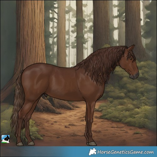 Horse Color:Gray Chestnut 