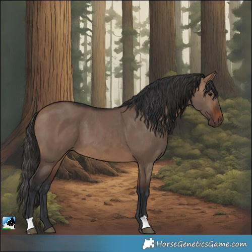 Horse Color:Brown Dun 