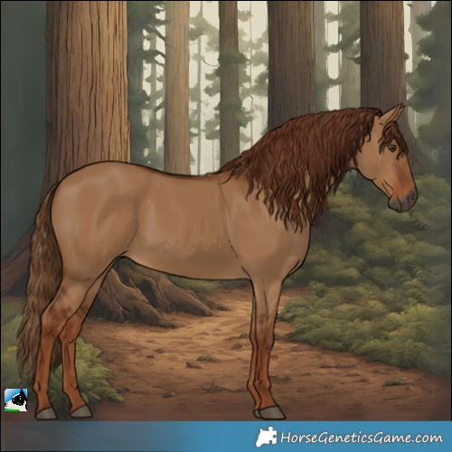 Horse Color:Gray Red Dun