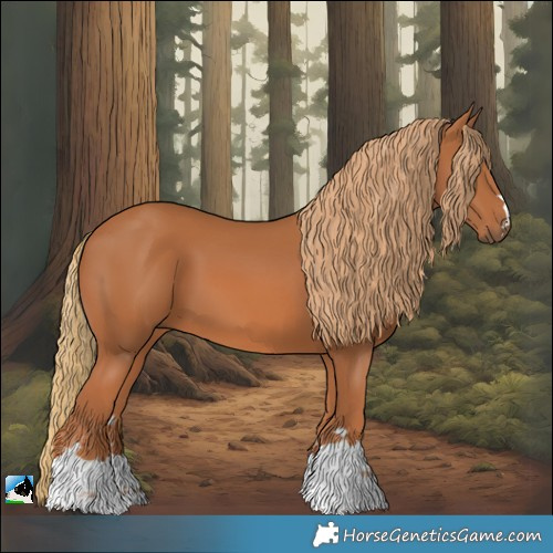 Horse Color:Chestnut 