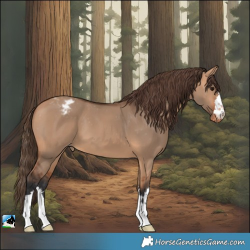 Horse Color:Bay Dun Varnish