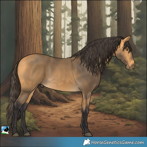Horse Color:Buckskin 