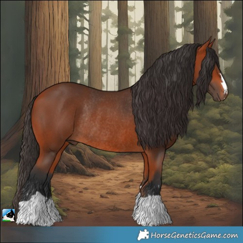 Horse Color:Bay Rabicano