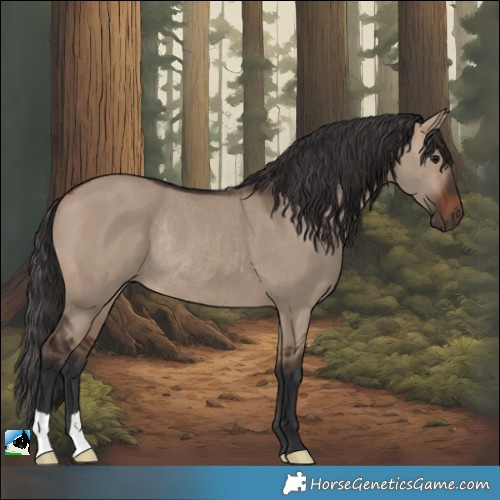 Horse Color:Brown Dun Rabicano