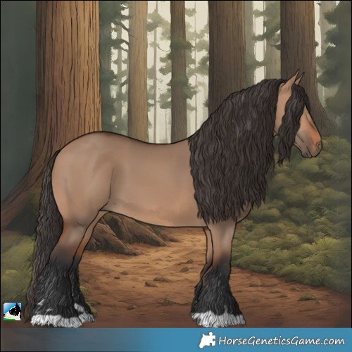 Horse Color:Bay Dun 