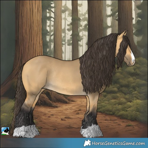 Horse Color:Buckskin Dun Rabicano 