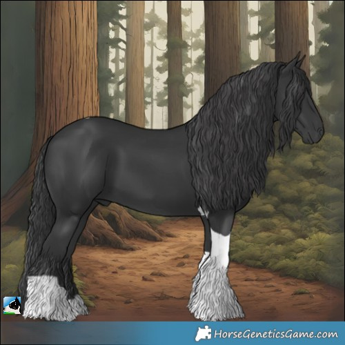 Horse Color:Black Tobiano