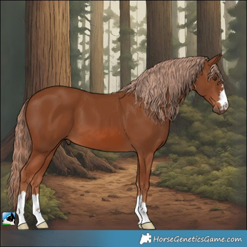 Horse Color:Chestnut 