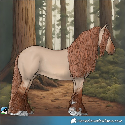 Horse Color:Red Dun Rabicano