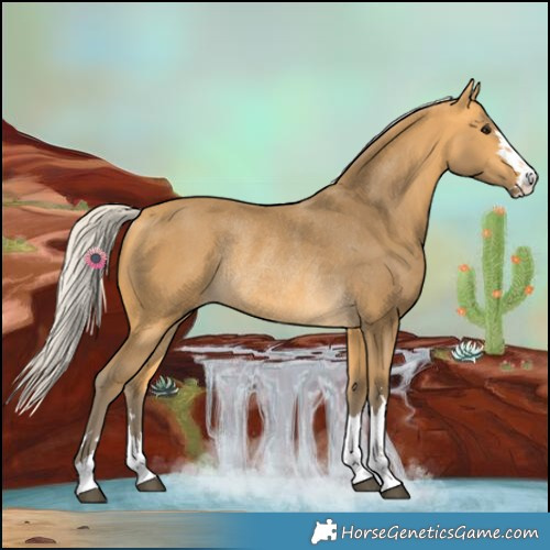 Horse Color:Silver Buckskin Rabicano 