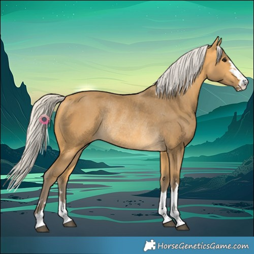 Horse Color:Silver Buckskin Rabicano 