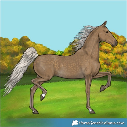 Horse Color:Silver Smoky Black 