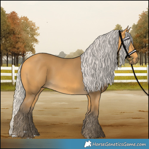 Horse Color:Silver Buckskin
