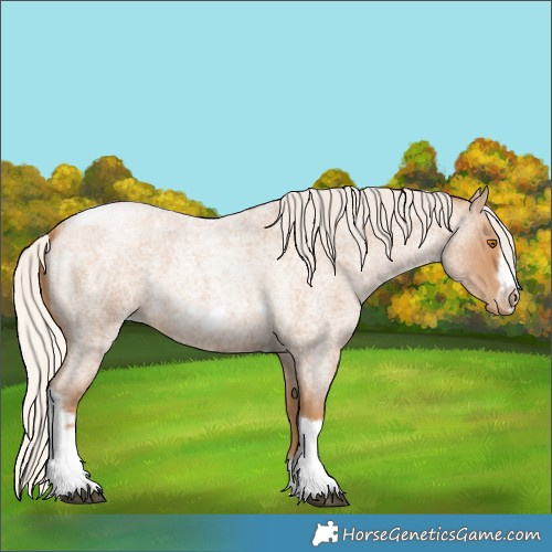 Horse Color:Silver Blue Roan Pearl Tobiano Frame 