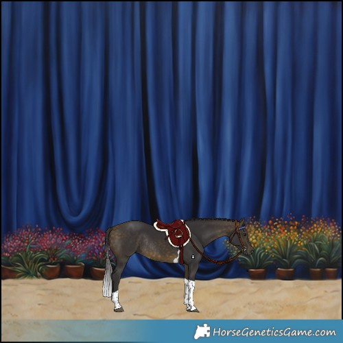 Horse Color:Buckskin Tobiano Rabicano