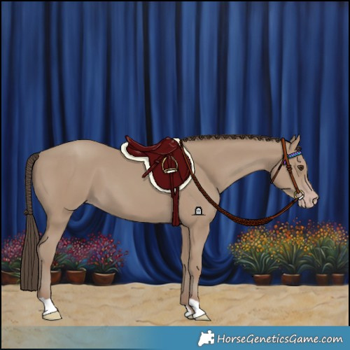 Horse Color:Classic Champagne