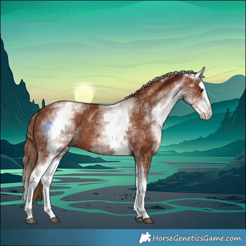Horse Color:White Spotted Chestnut Splash