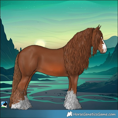 Horse Color:Chestnut 