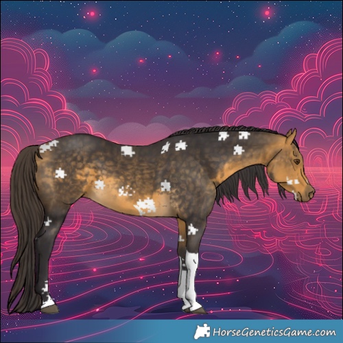 Horse Color:Buckskin Mushroom Tobiano 